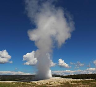 Old Faithfull Yellowstone