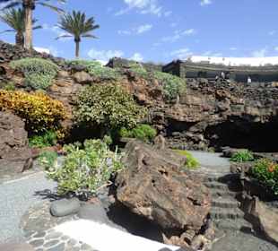 Jameos del Agua