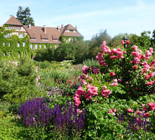 Botanischer Garten Berlin-Dahlem