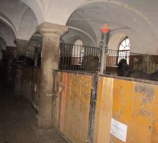 Schloss Fürstenstein ( Ksiaz ) Staatliches Gestüt