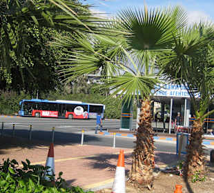 Stadtbusbahnhof nahe beim Hafen