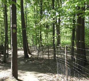 Wanderweg Hochgehwachsen