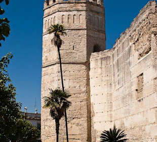 Excursión a Jerez