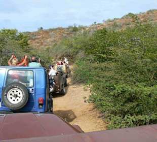 Jeep Safari