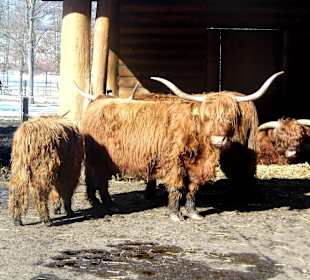 ImpressionOstern2013