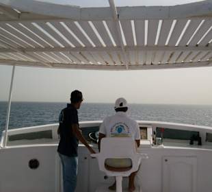 Immer mit Späherblicke