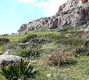 Nationalpark Kap Greco