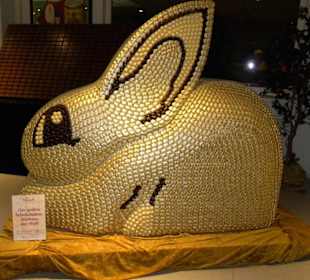 Rausch SchokoLand, Peine