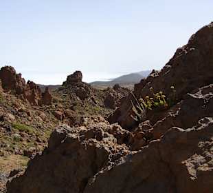 Humboldt-Weg nach el Portillo 