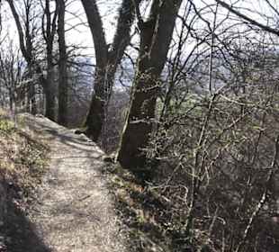 Wanderweg zur Achalm