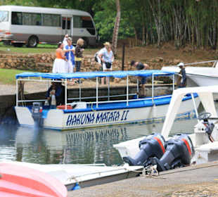 Speedbootfahrt in die Bucht von Samana