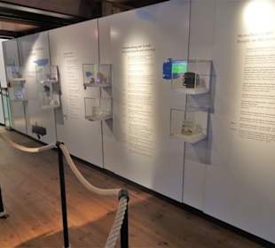 Rundgang durch die Abteilung "Expedition Meer"