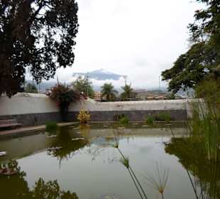Im Jardín de aclimatación de La Orotava