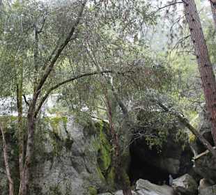 Yosemite Nationalpark