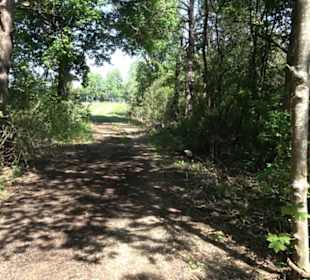 Premiumwanderweg Hochgehschätzt