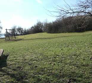 Hirschauer Spitzbergwegle (Premiumspazierwanderweg