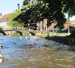 Ein Ausflug nach Brügge lohnt sich