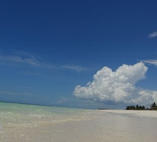 Cayo Levisa