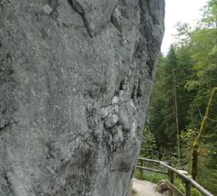 Entlang der Ramsauer Ache durch den Zauberwald