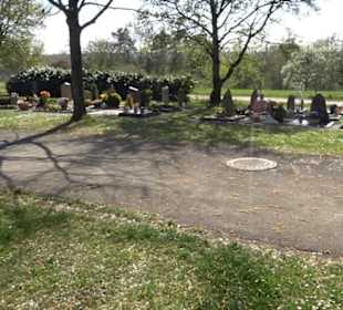 Neuer Friedhof