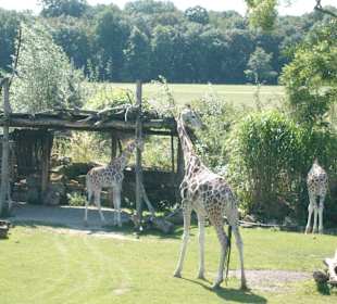 Zoo Leipzig
