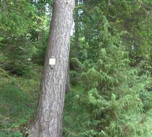 Wanderung Froschteich-Tour