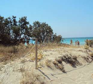 Elafonissi Strand Dünen