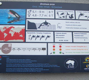 Infoschild "Orca-Show"