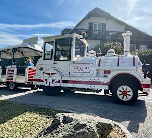 Stadtrundgang Velden am Wörther See