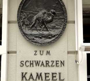Zum Schwarzen Kameel