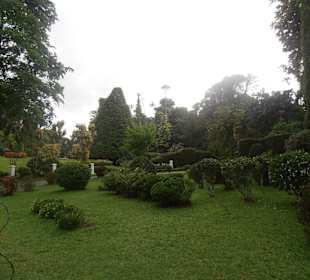 Botanischer Garten Kandy