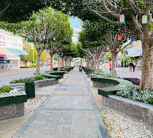 Stadtrundgang Alanya-Konakli