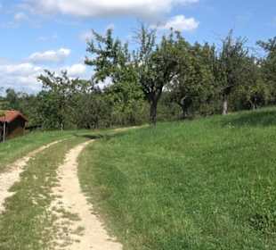 Hochgehnießen - Premiumspazierwanderweg