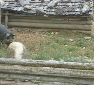 Interessantes Museum