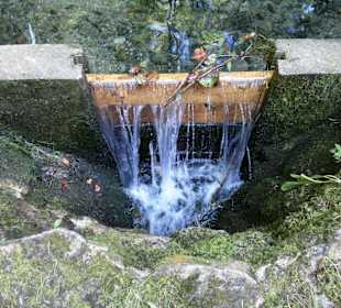 Wasserregulierung