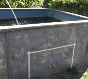 Historischer Brunnen Hornstein