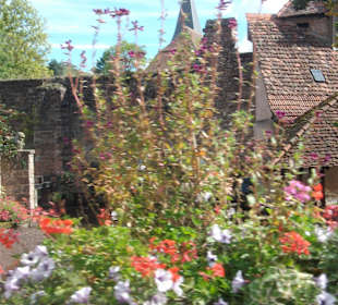 Altstadt Wissembourg