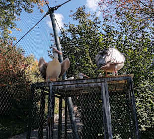 Zoologischer Garten Prag