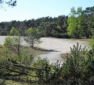 Impressionen aus den Voßbergen