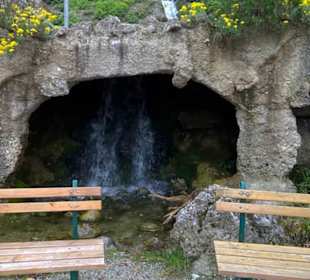 Eurasienbereich - Steinböcke