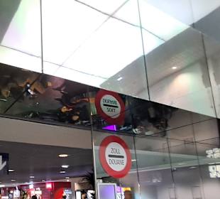 Flughafen Basel Mülhausen Freiburg (EAP)