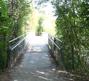 Wanderung zur Burgruine Liebenau