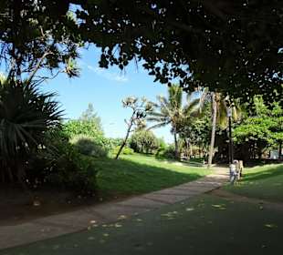 Der Park am Strand von Saint-Pierre