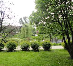 Park