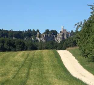 Waldameisen-LehrPfad