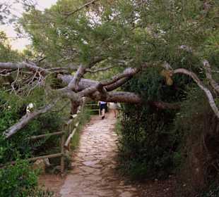 Wanderweg am Peñón de Ifach