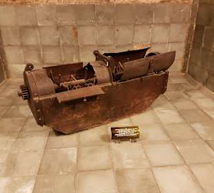 Weinmuseum und Kakteen-Ausstellung El Grifo