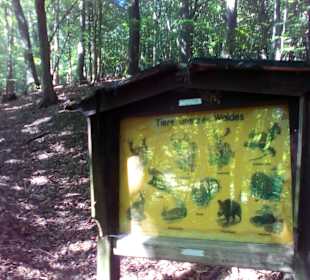 Natur und Vogellehrpfad Längwieser Wald Dittweiler
