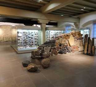 Schatzkammer Erdgeschichte im Naturkundemuseum