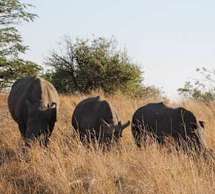 Hluhuwe Wildpark
